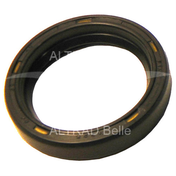 B407 Drum Shaft Oil Seal for Belle Minimix 150 - CMS11