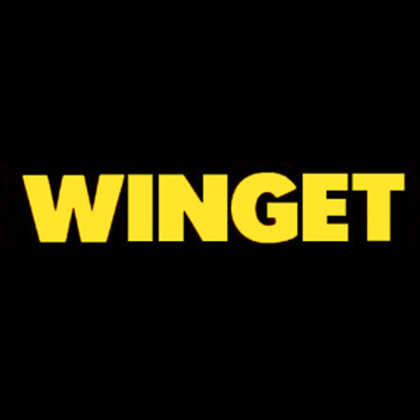 Hub Centre Gasket for Winget 150T - 513202800