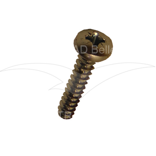 5.5 x 25 Plasfast Screw for Belle Minimix 150 - 7/5017