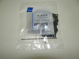 Diaphram Assembly - Metering