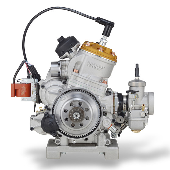ROK GP 125cc TAG Engine
