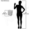 Scale Reference