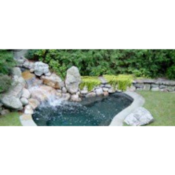 green liner pondless water fall