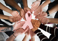 Breast Cancer Education: Comprehensive Training Tools for Healthcare Professionals