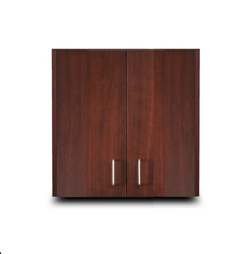 Clinton 24" Wall Cabinet with 2 Doors