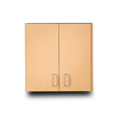 Clinton 24" Wall Cabinet with 2 Doors