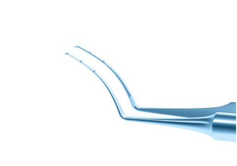 Rumex 4-03314T Utrata Capsulorhexis Forceps with Scale