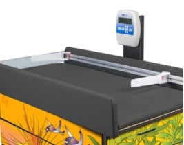 Clinton Theme Series Dino Daysin Scale Table