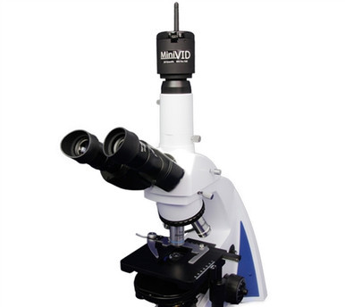 i4 Semen Evaluation Microscope