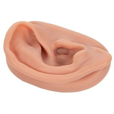 3B Scientific Acupuncture Right Ear