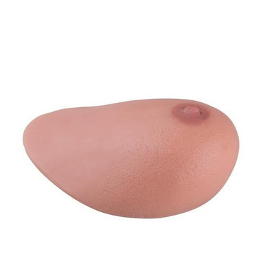 3B Scientific SONOtrain Breast Model with Tumours