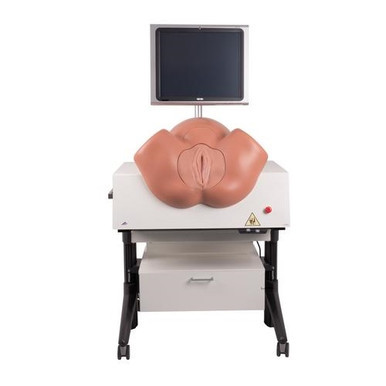 3B Scientific New SIMone Birthing Simulator