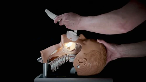 Ambu Airway Management Trainer