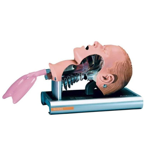 Ambu Airway Management Trainer