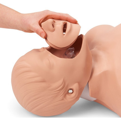 Nasco CPR Manikin Brad Export with Electronic and Bag