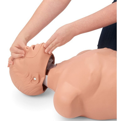Nasco CPR Manikin Brad Export with Electronic and Bag