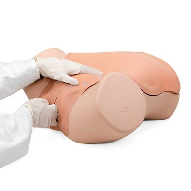 3B Scientific Gynecologic Skills Trainer