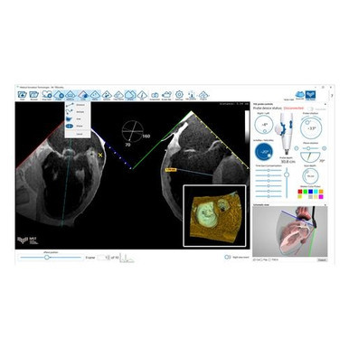 3B Scientific MrTEEmothy Standard Transesophageal Echocardiography Simulator