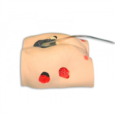 Seymour II Wound Care Simulator