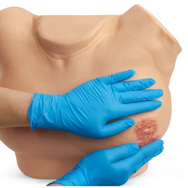 Nasco Life or Form Advanced Breast Exam Simulator