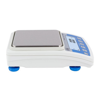 Radwag WTC-3000 Precision Balance
