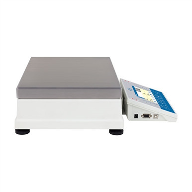 Radwag PM-35.C32 Precision Balance