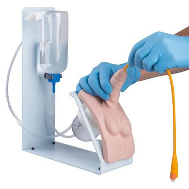 3B Scientific Catheterization Simulator Basic, Male-Dup