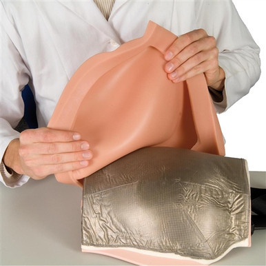 3B Scientific Buttock Injection Simulator-Dup