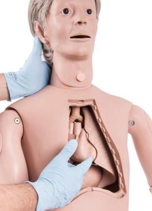 3B Scientific Patient Care Manikin Basic-Dup