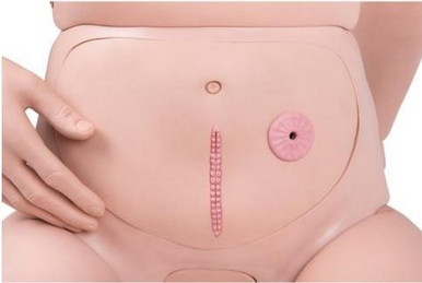 3B Scientific Patient Care Manikin Basic-Dup