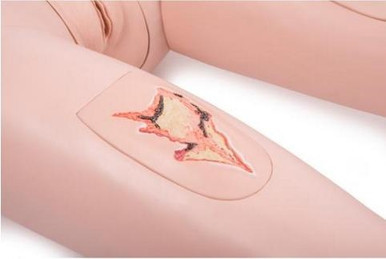 3B Scientific Patient Care Manikin Basic-Dup