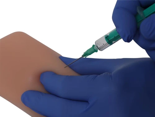 Erler Zimmer Exercise model intradermal, subcutaneous and intramuscular injection