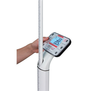 Detecto Apex Digital Clinical Scale