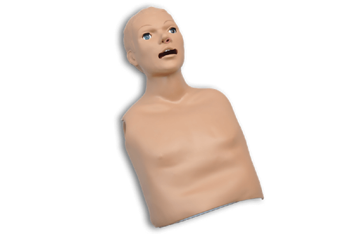 CPR Skills Trainer Torso
