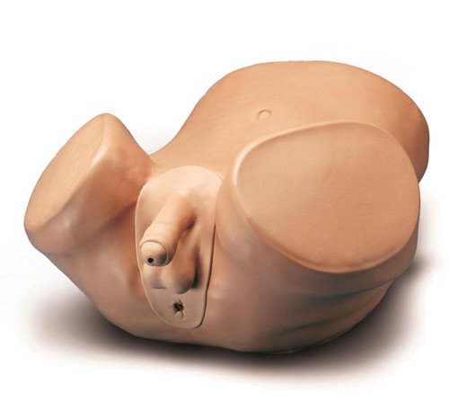 Advanced Patient Care Male Prostate Skills Trainer