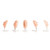 Erler Zimmer Head for Facial Injections, Version B