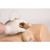 Erler Zimmer Bladder Catheterization Simulator Henri (Male)