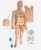 Nasco Life or Form Basic Child CRiSis Manikin with Advanced Airway Management
