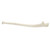 3B Scientific ORTHObones Standard Ulna, Left