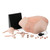 3B Scientific Gynecologic Skills Trainer