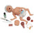 Nasco Life or Form Micro Preemie Simulator - Light