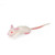 Erler Zimmer Simulation Model Mouse