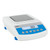 Radwag WLC 0,6/A1/C/2 Precision Balance