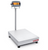 Ohaus - Defender™ 3000 - i-D33 D33P300B1X2