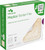 Molnlycke 595300 Mepilex Border Flex 4 x 4 in (Pack of 50)