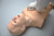 HAL® Adult Multipurpose Airway and CPR Trainer