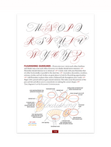 The Speedball Textbook (26th Edition)