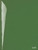 Studio Plus Glaze - Evergreen