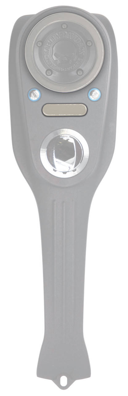 Dash Indicator Block-off Plate -Polished