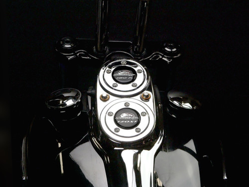 31State Dual Timer Cover Plates -Gloss Black
